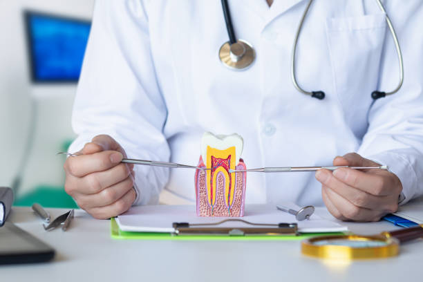 Best Pediatric Emergency Dentist in Fairview Park, OH
